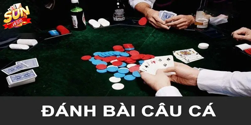 Hướng dẫn luật lệ cơ bản của bài câu cá